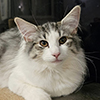 Dahlia, 5 mois