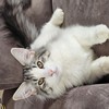Dahlia, 8 mois