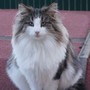 Falkor, 1 and a half year
