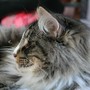 Haribo - 1 year and 4 months