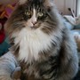 Haribo - 1 year and 4 months