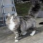 Haribo - 8 months