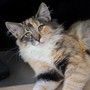 Harmony, 5 mois