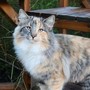Harmony, 7 mois