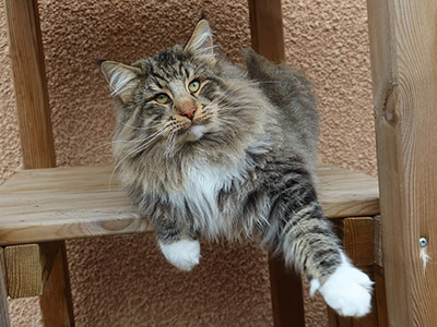 Picasso, 1 and a half year old