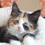 Taima, 10 weeks