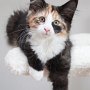 Taima, 3 months