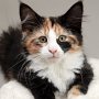 Taima, 3 months