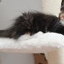 Taima, 3 months
