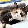 Taima, 4 months