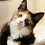 Taima, 4 months