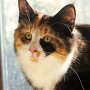 Taima, 5 months