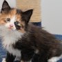 Taima, 6 weeks