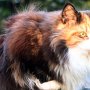 Taima, 8 months