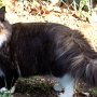 Taima, 8 months