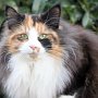 Taima, 9 months