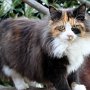 Taima, 9 months