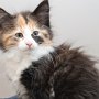 Taima, 9 weeks