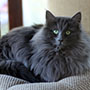 Yamuna, 2 years