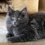 Yamuna, 3 months