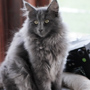 Yamuna, 6 months