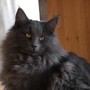 Yamuna, 6 months