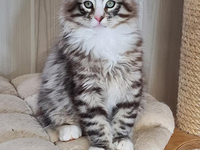 Horus, 3 mois