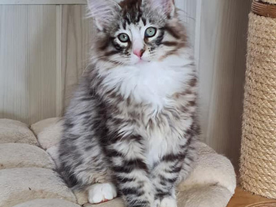 Horus, 3 mois