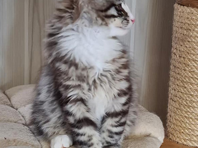 Horus, 3 mois