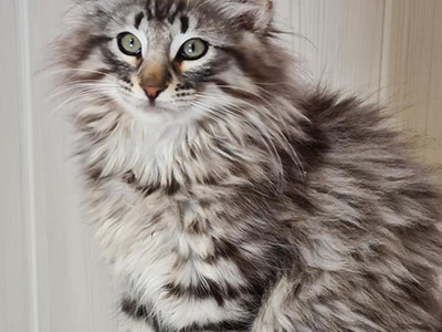Hunter, 3 mois