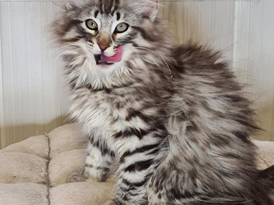 Hunter, 3 mois