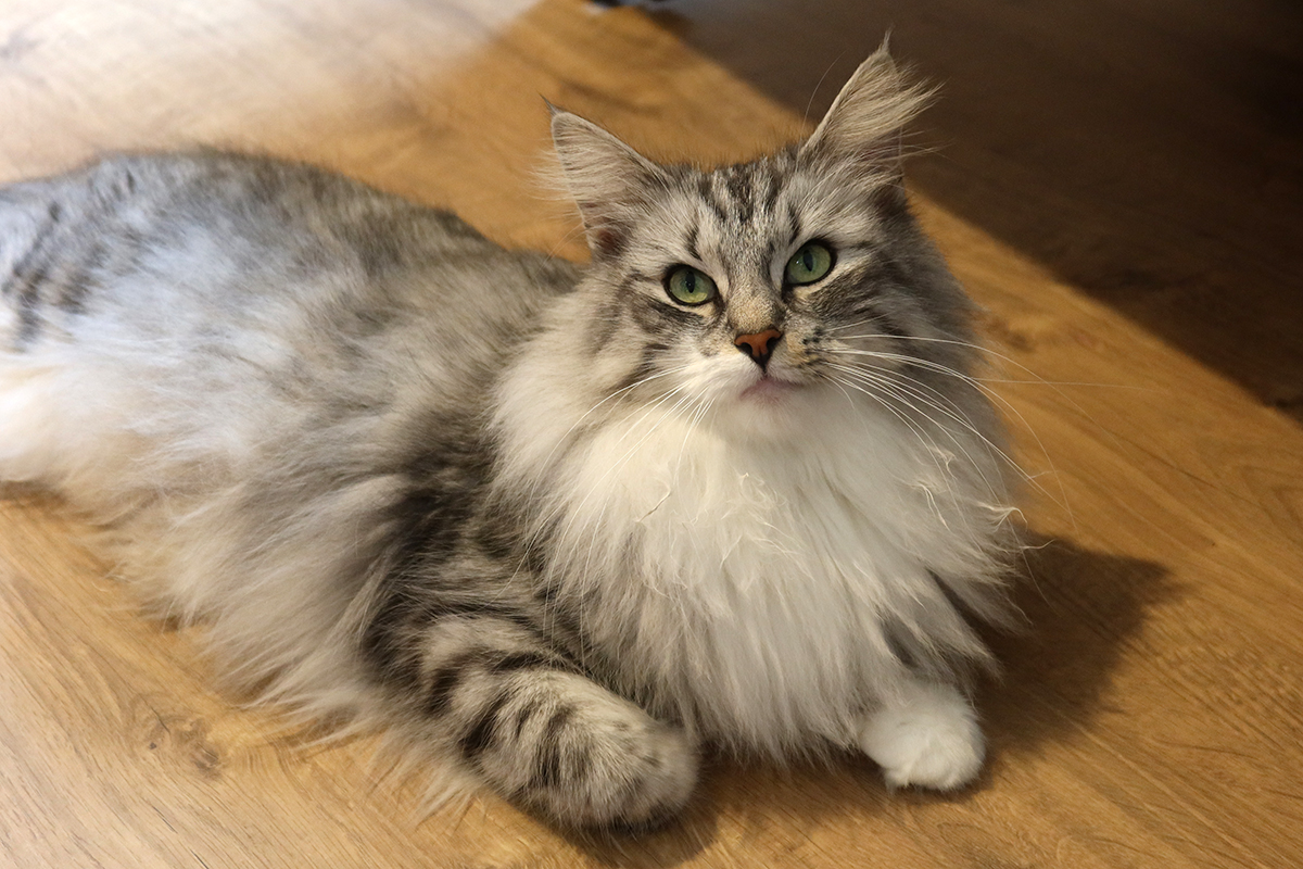 Hopie , 1 mois