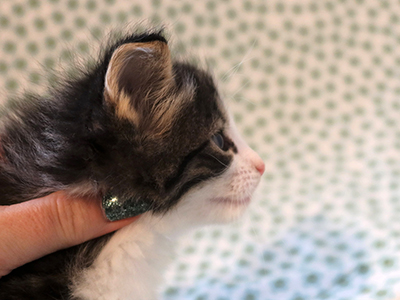 Hera, 1 mois