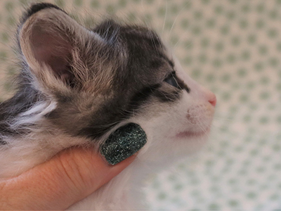 Hopie , 1 mois