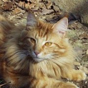 Jericho