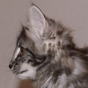 Othilia