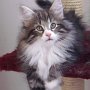 Ouriel, 10 weeks