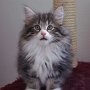 Ouriel, 10 weeks