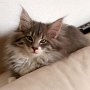 Olivia, 12 weeks