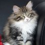 Ouriel, 12 weeks