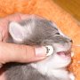 Olivia, 17 days