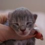 Olivia, 1 day