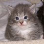Olivia, 23 days