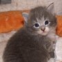 Olivia, 23 days