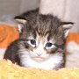 Ouriel, 23 days