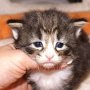 Ouriel, 23 days