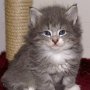 Olivia, 4 weeks