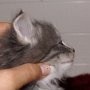 Olivia, 4 weeks