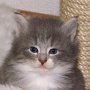 Olivia, 4 weeks