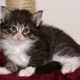 Ouriel, 4 weeks